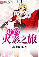 我的火影之旅在線閱讀
