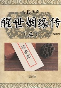 古代傳奇:醒世姻緣傳(三)