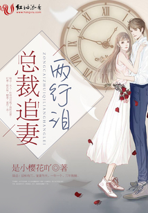 總裁追妻兩行淚