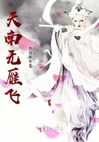 天南無雁飛在線閱讀