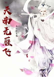 天南無(wú)雁飛
