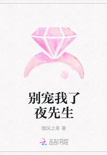 別寵我了夜先生