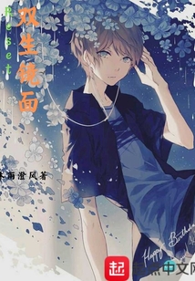 雙生鏡面Reset