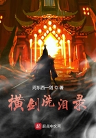 横剑洗泪录