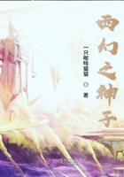 西幻之神子在线阅读