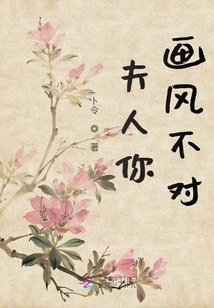 夫人你画风不对