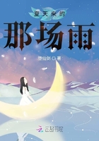 夏天來的那場雨在線閱讀