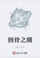 骸骨之潮在线阅读