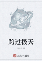 跨过极天