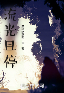 流光且停