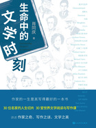生命中的文學(xué)時(shí)刻在線閱讀