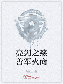 亮劍之慈善軍火商