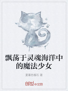 飘荡于灵魂海洋中的魔法少女在线阅读