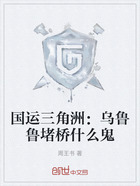 国运三角洲:乌鲁鲁堵桥什么鬼在线阅读