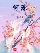 何珠在线阅读