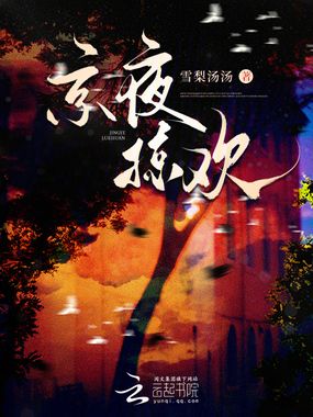 京夜掠欢在线阅读