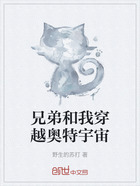 兄弟和我穿越奥特宇宙在线阅读