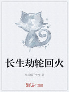 長生劫輪回火在線閱讀