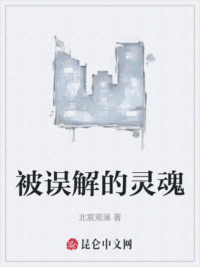 被误解的灵魂在线阅读
