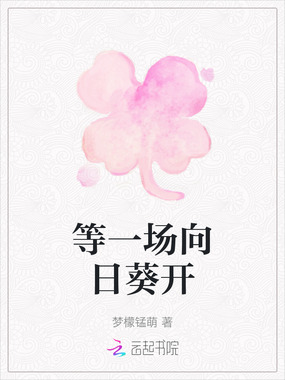 等一场向日葵开在线阅读