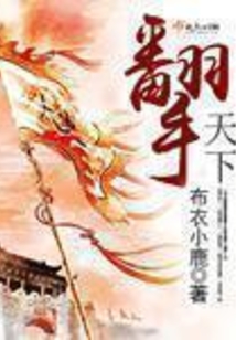 翻手天下在线阅读