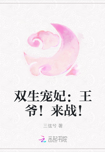 雙生寵妃：王爺！來戰！