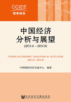 中国经济分析与展望（2014～2015）（CCIEE智库报告）