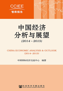 中國(guó)經(jīng)濟(jì)分析與展望(2014~2015)(CCIEE智庫(kù)報(bào)告)