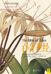 百合圣經