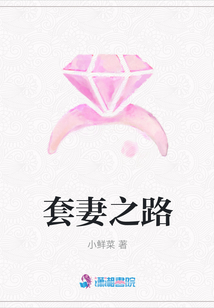套妻之路