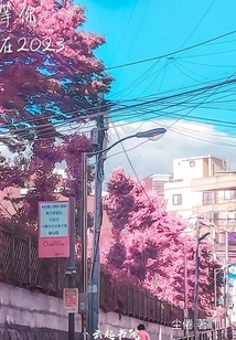 等你在2023