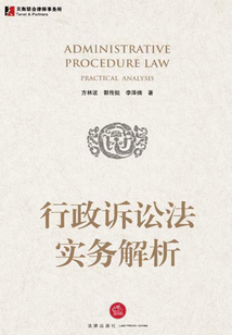 行政訴訟法實務解析