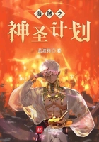 海贼之神圣计划