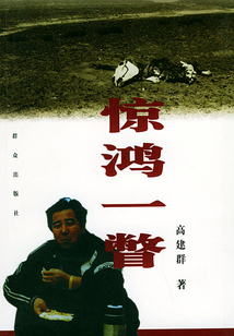 驚鴻一瞥