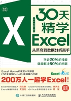 30天精学Excel：从菜鸟到数据分析高手在线阅读