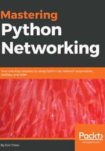 Mastering Python Networking