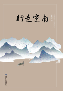 行走定南