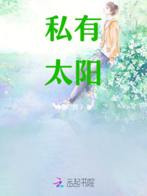 私有太陽