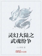 灵幻大陆之武魂纷争在线阅读