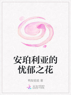 安珀利亚的忧郁之花在线阅读