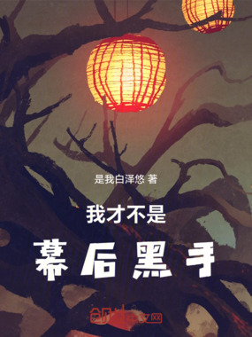 我才不是幕后黑手在线阅读