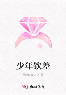 少年钦差