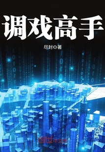 调戏高手
