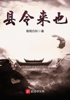 縣令來也在線閱讀