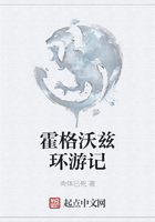霍格沃茲環(huán)游記在線閱讀