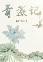 青盏记在线阅读