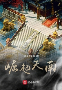 崛起天南