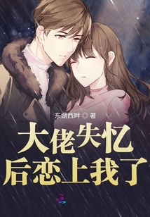 大佬失憶后戀上我了