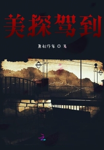 美探駕到
