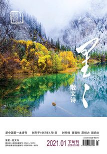 星星·散文詩（2021年第1期）